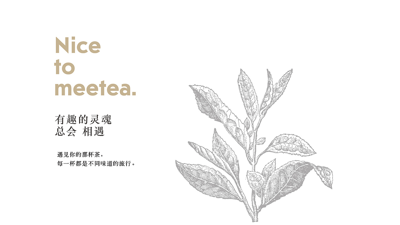 Nice to meetea ! 年轻人的第一杯调香茶（图ZOTYxODg3MDA=） - 品牌 - 站酷设计师高烧传播原创素材 - 站酷ZCOOL