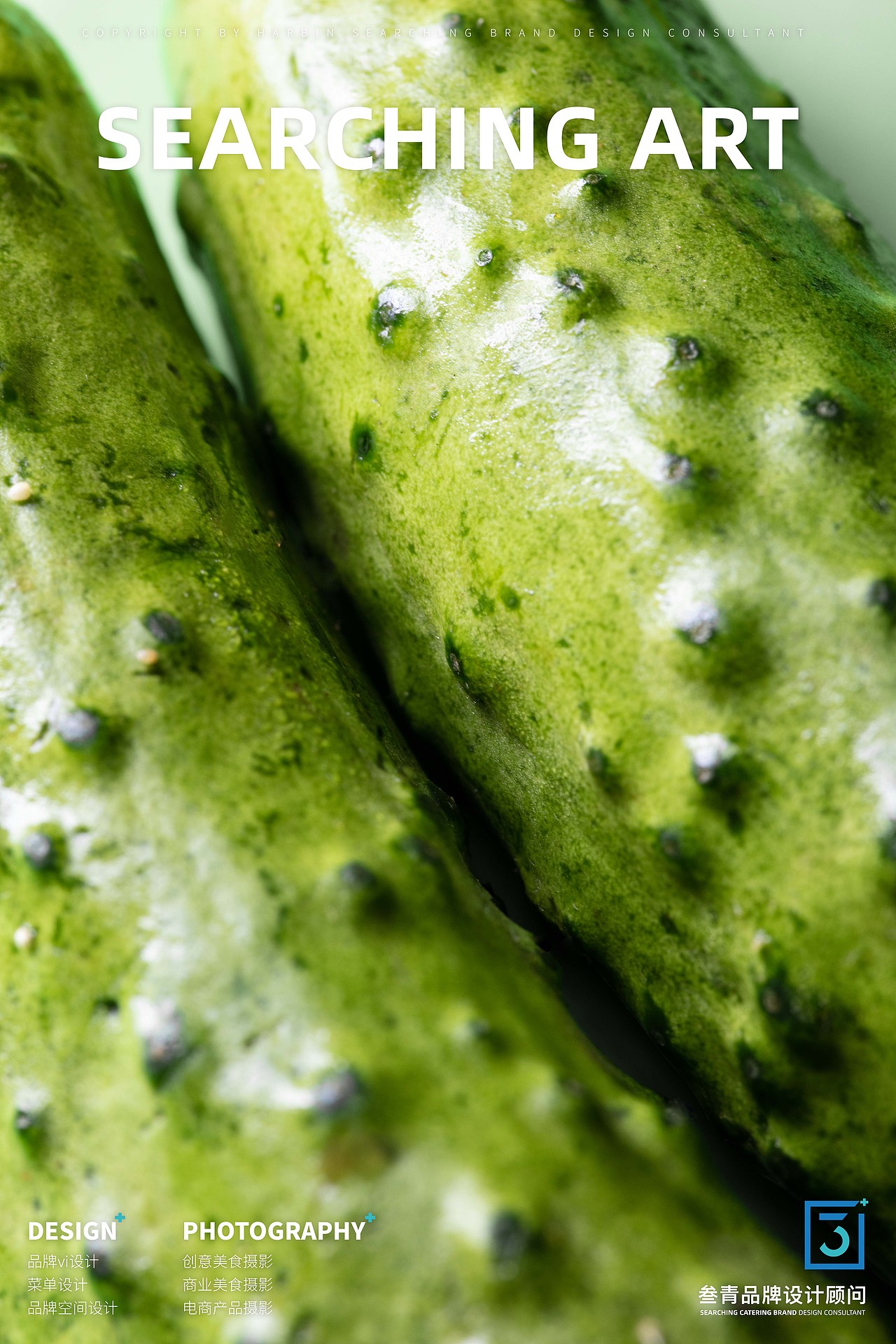 叁青品牌美食摄影 | 食材