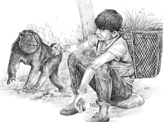 一组动物黑白插画，电脑绘