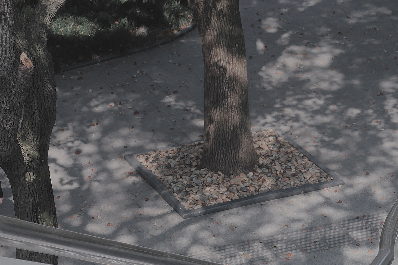 摄影 | 阳光正好（图ZMjQ2NzgyOTI0） - 人文/纪实摄影 - 站酷设计师Gnayohh原创素材 - 站酷ZCOOL