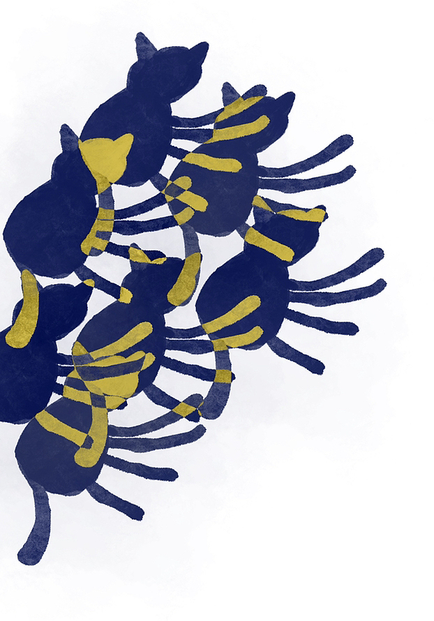 九月合集|黑白喵喵