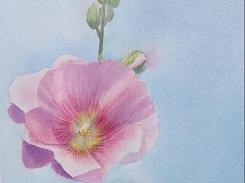 小清新水彩花卉 蝴蝶兰 荷花 桃花 蓝雪花 花束 