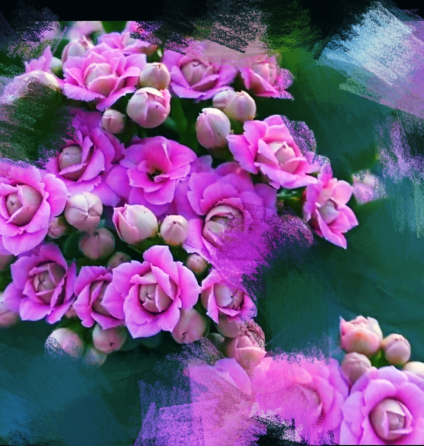 刘勇良画意摄影:那些盛开的花朵