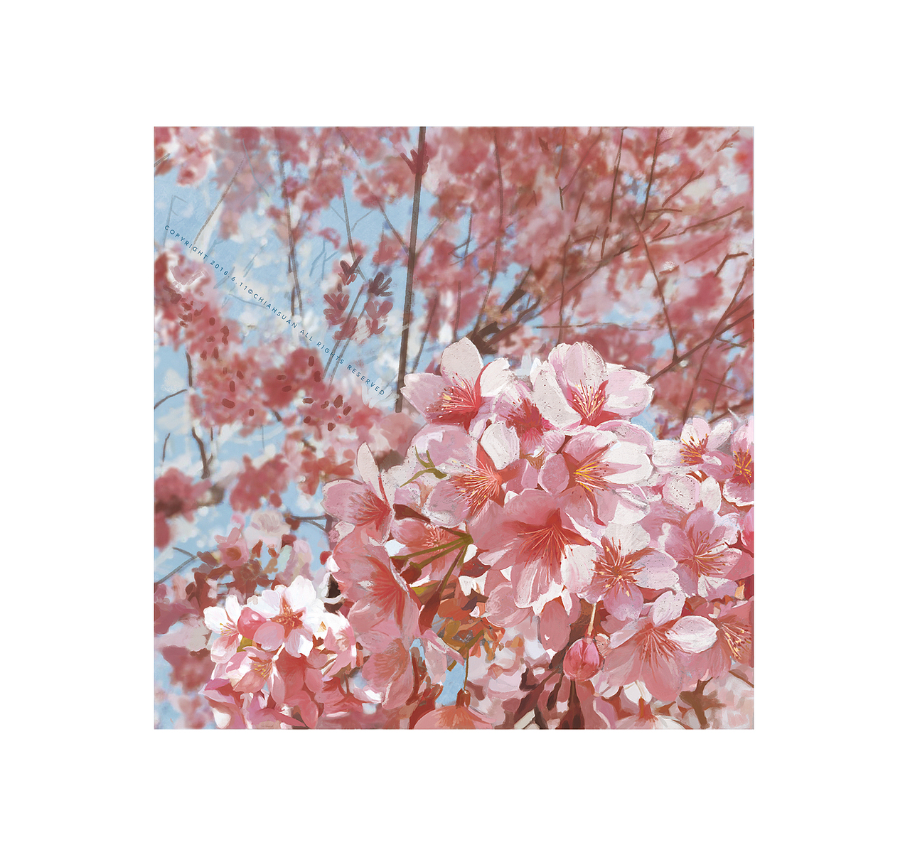 樱花（图ZMTE4MDY1Nzcy） - 创作习作 - 站酷设计师chiahsuan原创素材 - 站酷ZCOOL