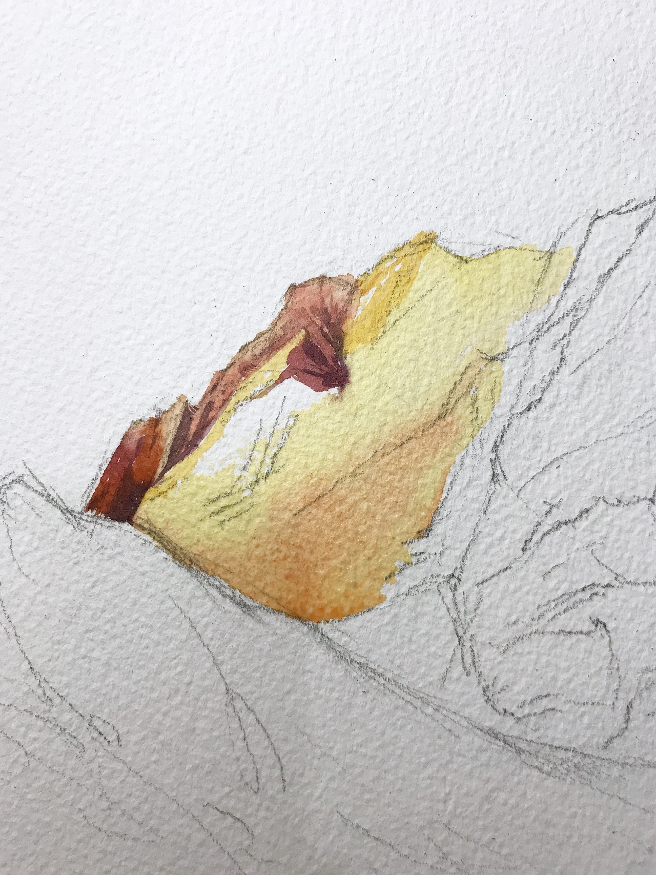 日照金山（图ZMTQ4MDE3ODA4） - 绘画 - 站酷设计师纪梵原创素材 - 站酷ZCOOL