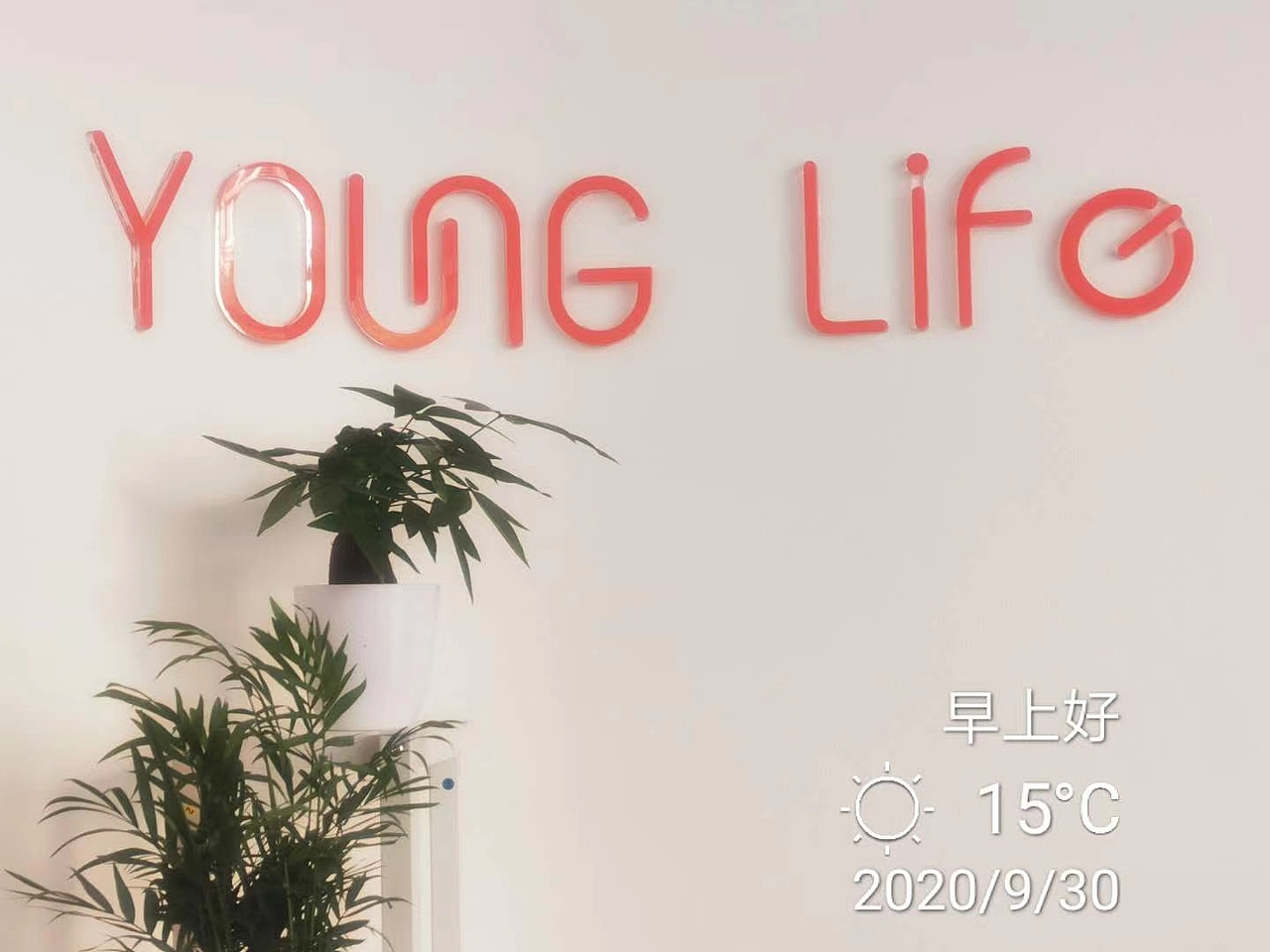 YOUNG LIFE 悠啦护肤造型(LOGO设计,仅供展示)