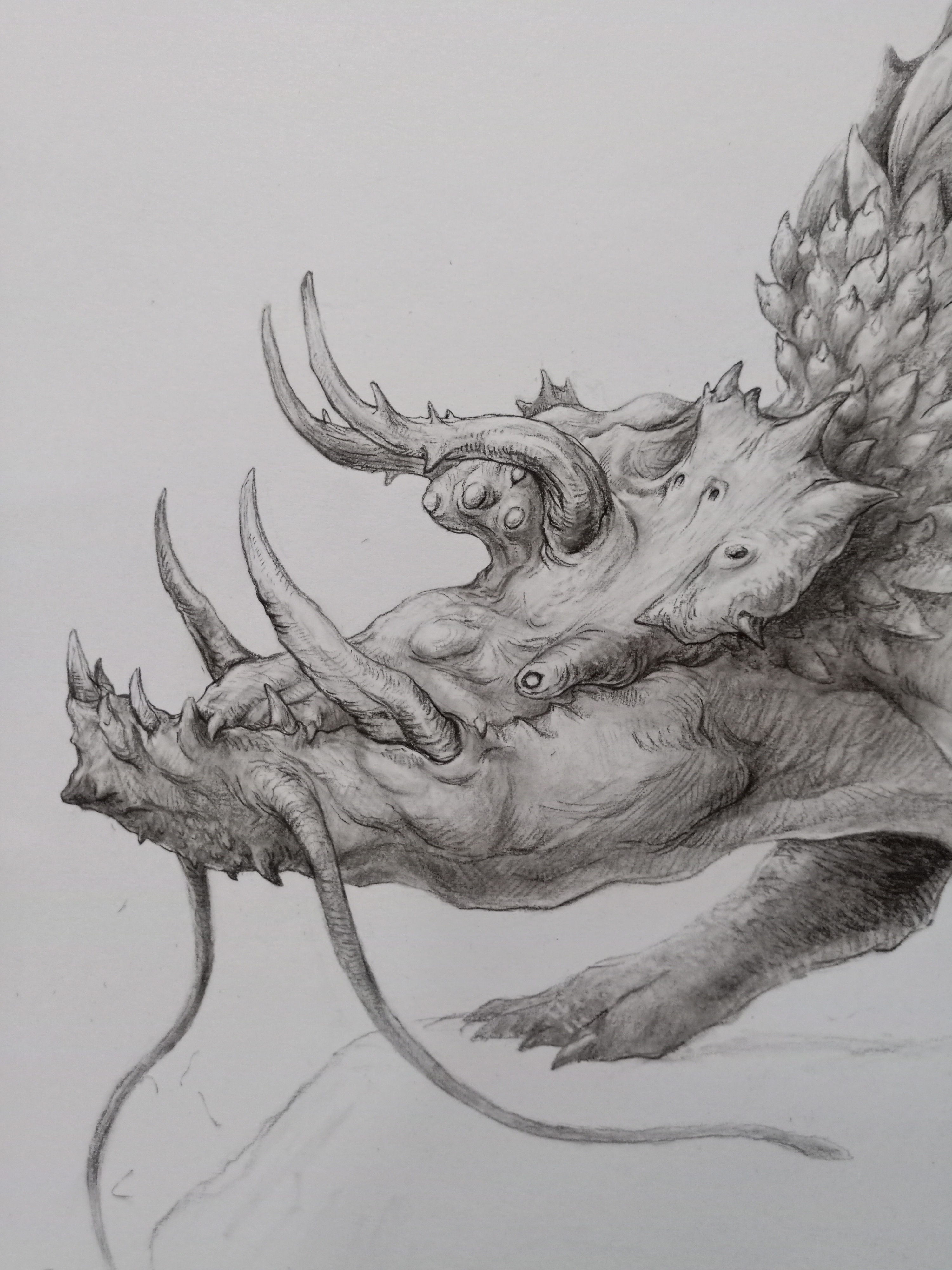 幻想生物|插画|概念设定|anti_matter - 原创作品 - 站酷 (zcool)