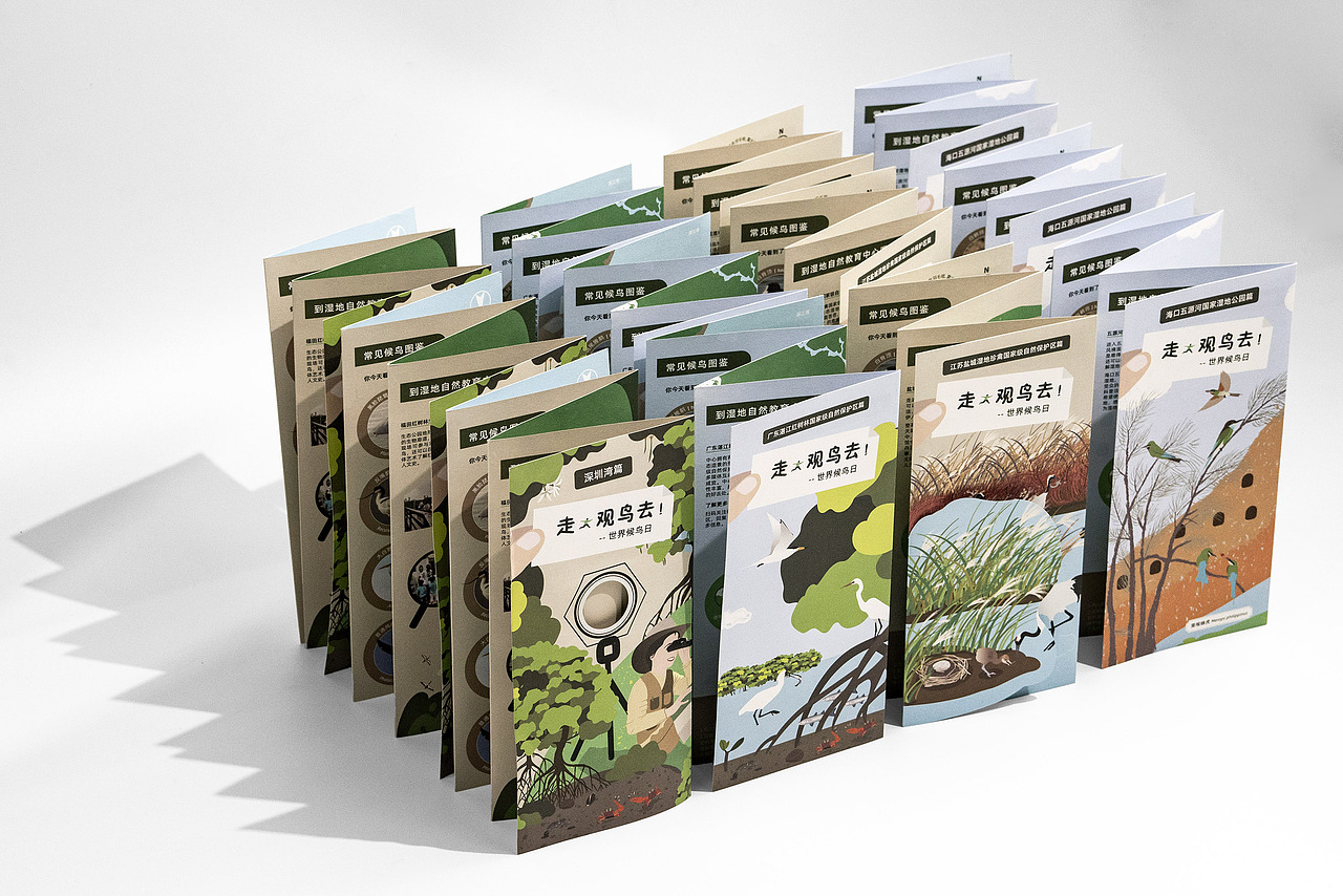 世界候鸟日-观候鸟折页及海报