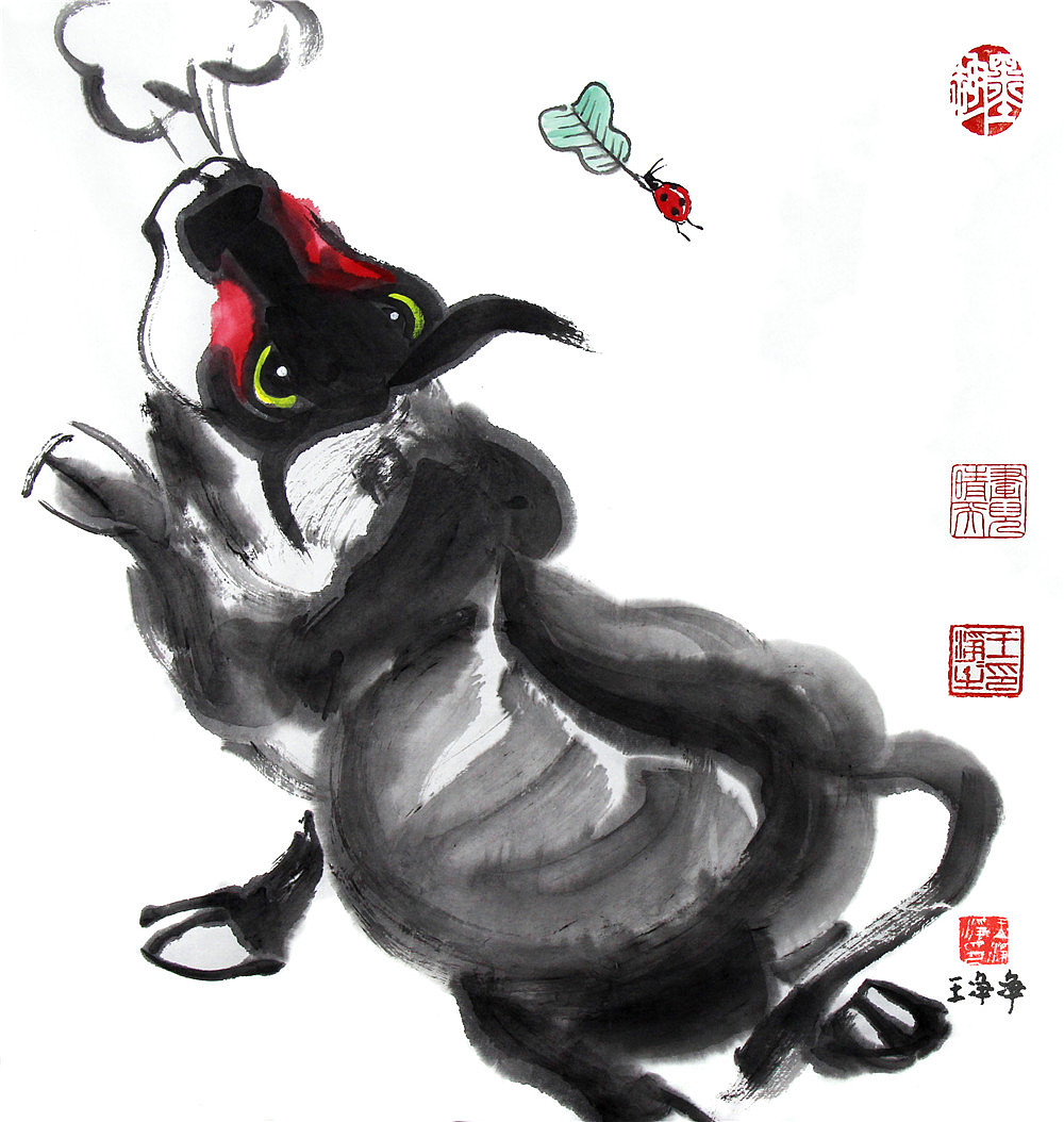 牛年画牛王净净42幅国画牛萌趣水墨牛