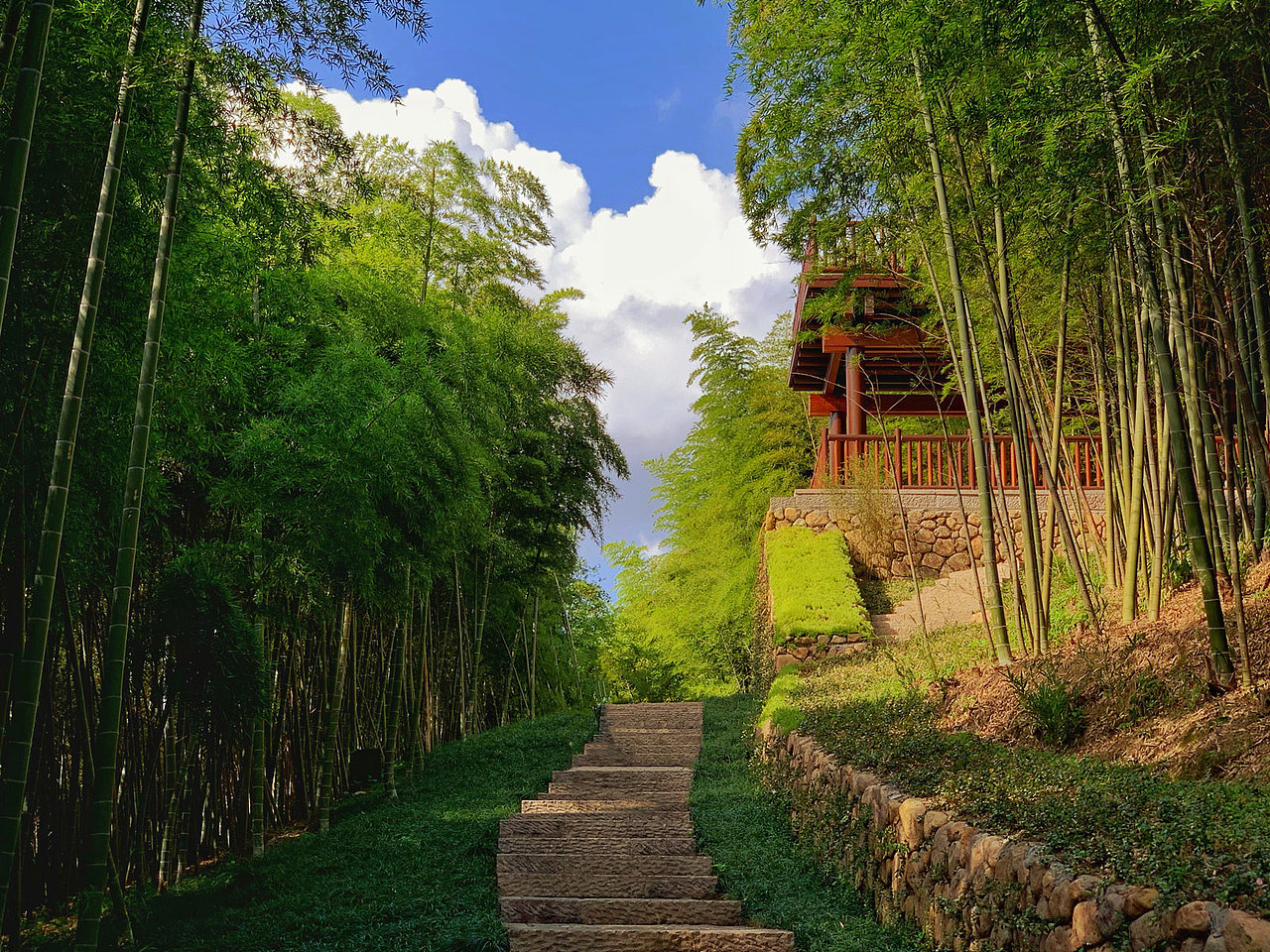 ⬆️
采风景观来自 杭州市余杭区「良渚古城遗址」中「稚山」竹林小道。<br>