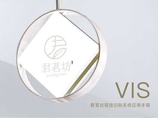 VIS视觉识别系统手册
