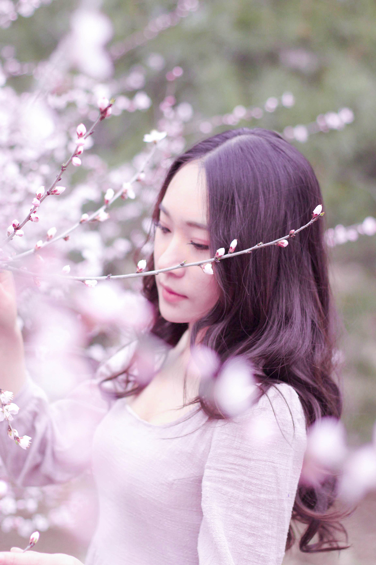 sakura 樱花（图ZNDUwMjg4ODQ=） - 人像摄影 - 站酷设计师有一个落落原创素材 - 站酷ZCOOL