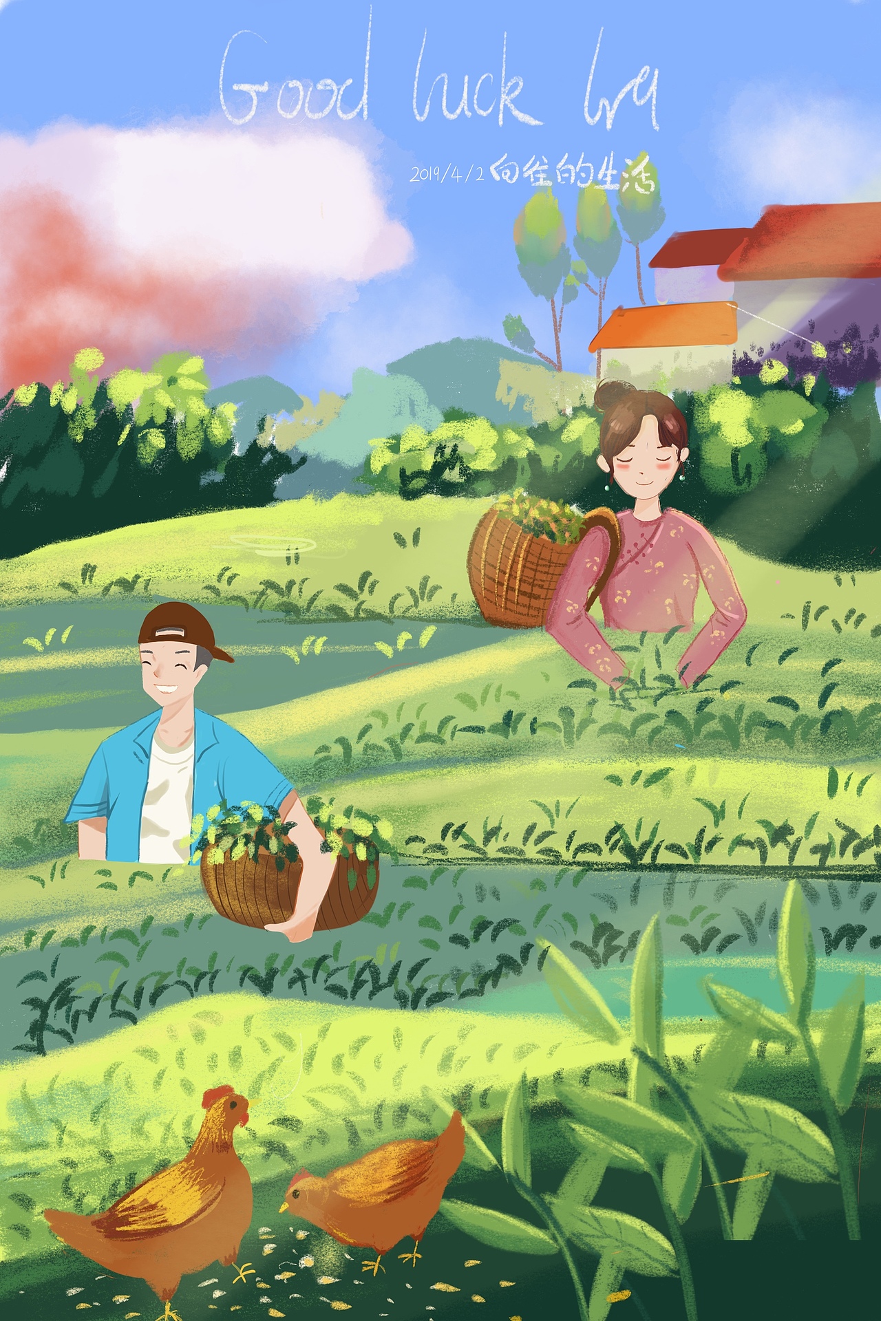 采茶——向往的生活