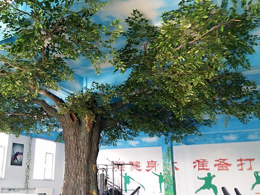 日照文化墙 ，幼儿园壁画，墙体彩绘，日照景观制作