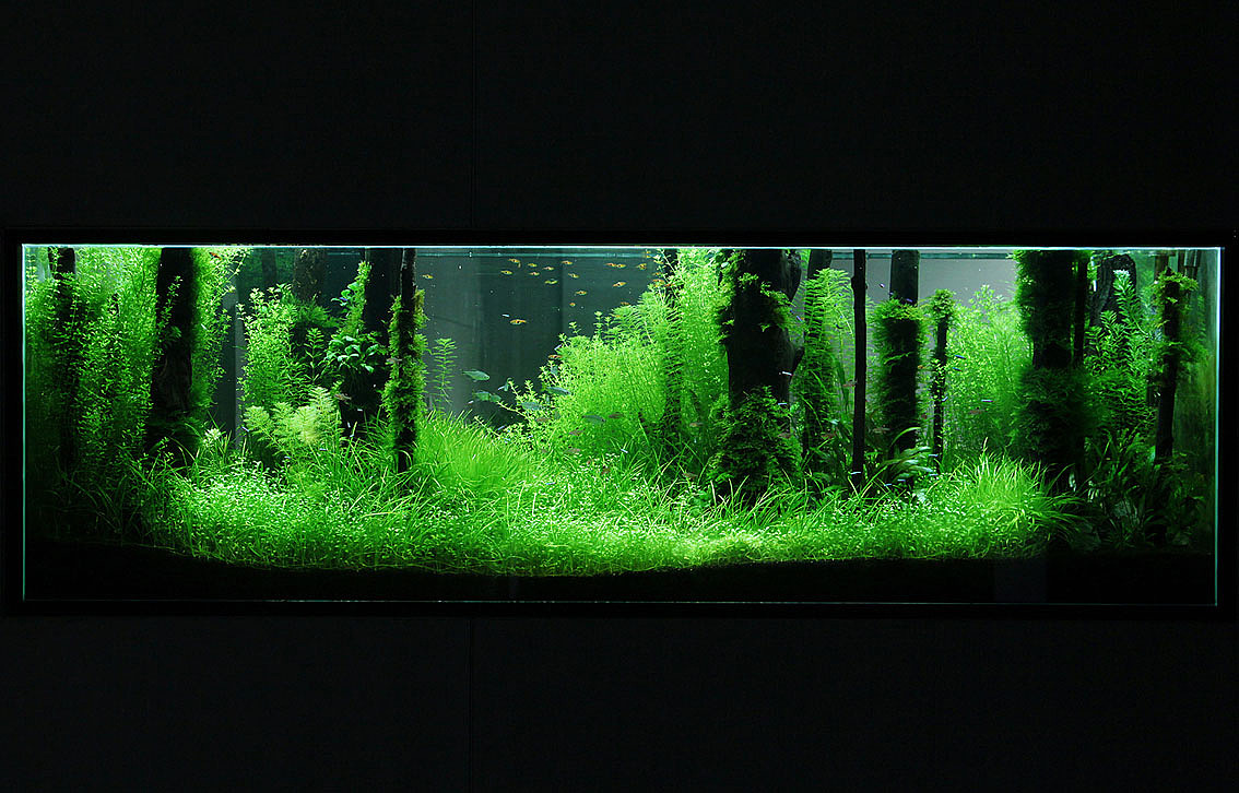 PIXTOR: JvM Beijing Office（图ZMTEzMjg3Mjg=） - 艺术插画 - 站酷设计师wilkison原创素材 - 站酷ZCOOL