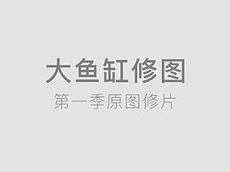 大鱼缸修图--第1季