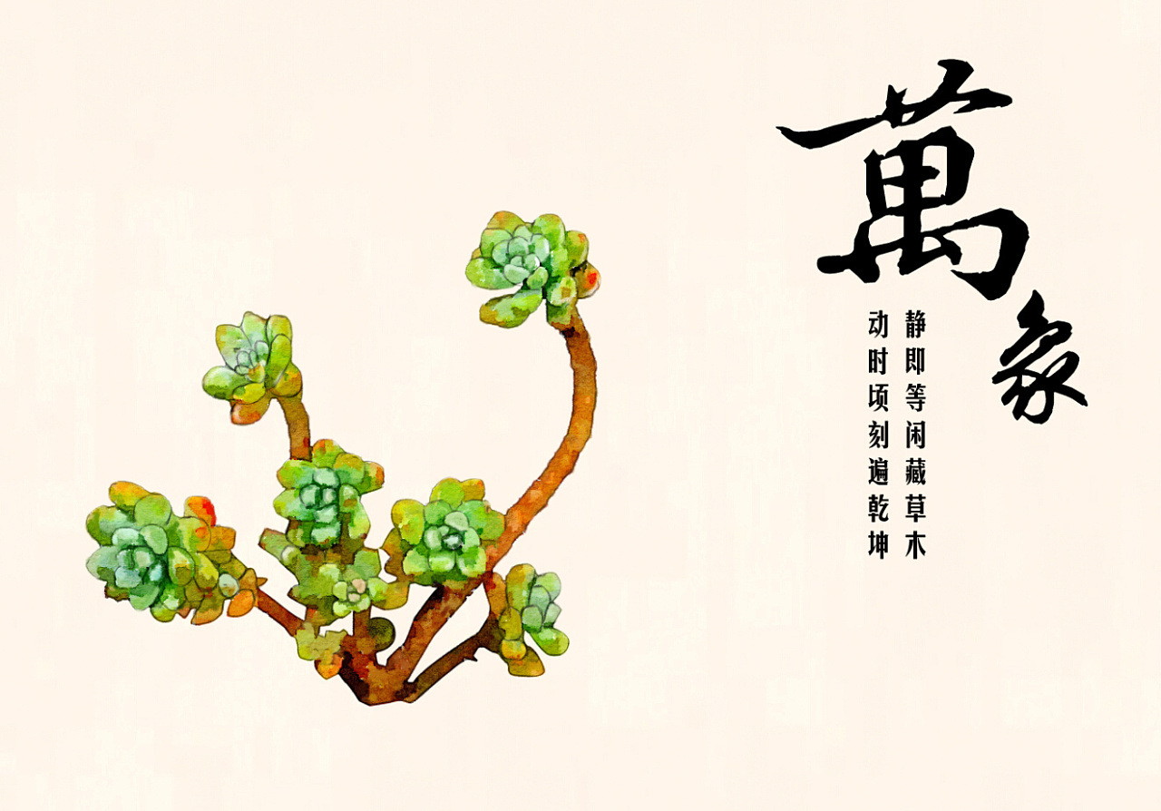 万象多肉-那美好的肉色|插画|商业插画|卖鱼的 - 原创作品 - 站酷