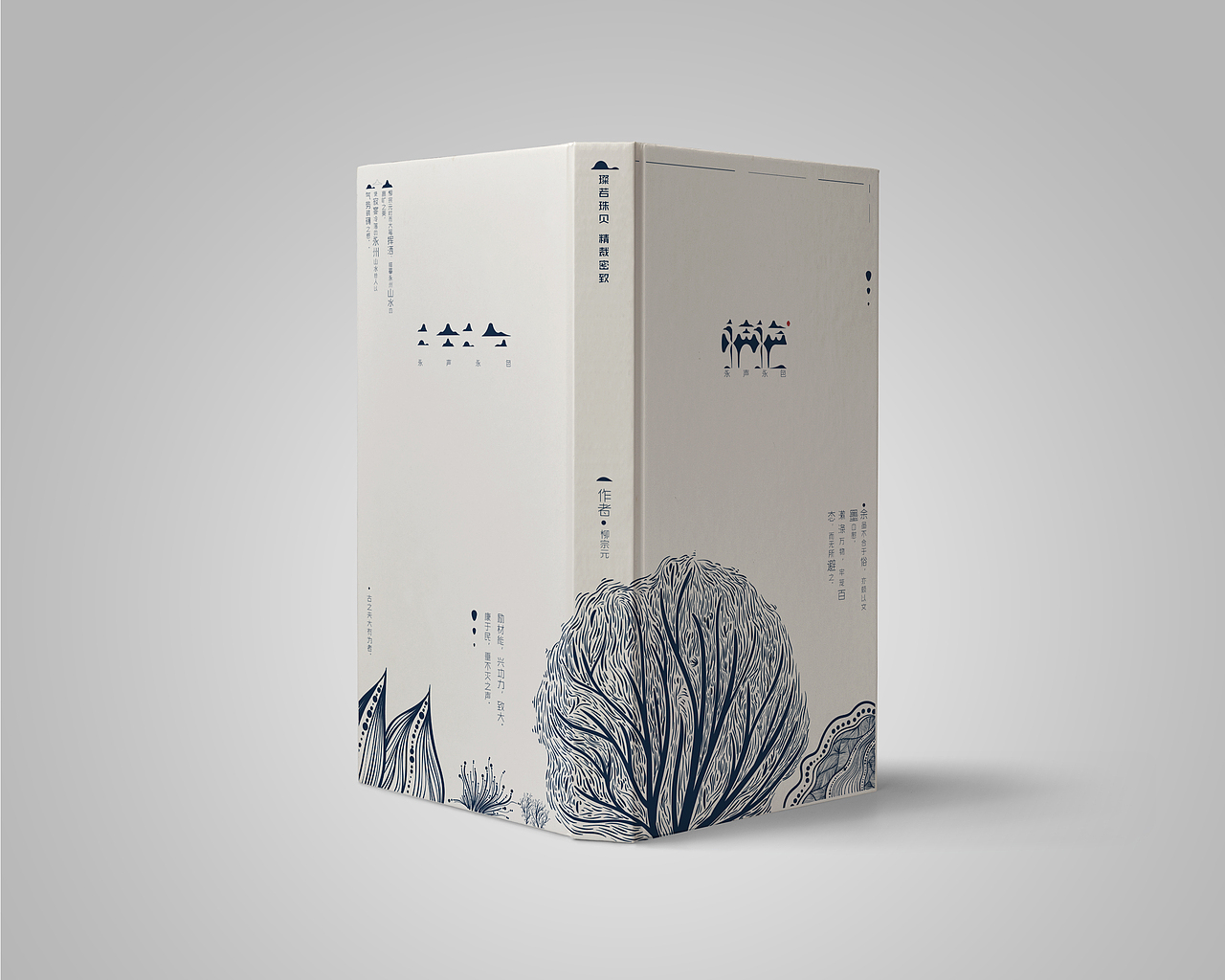 《永声永色》概念书籍设计