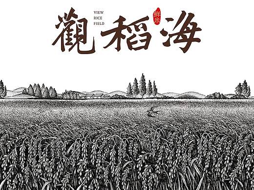 华稀大米插画设计