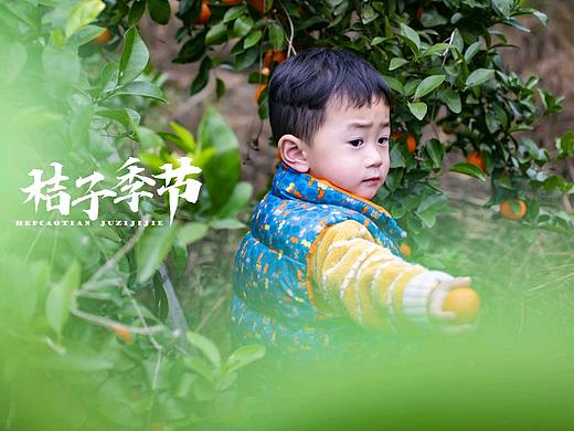砂糖橘🍊🍊🍊🍊