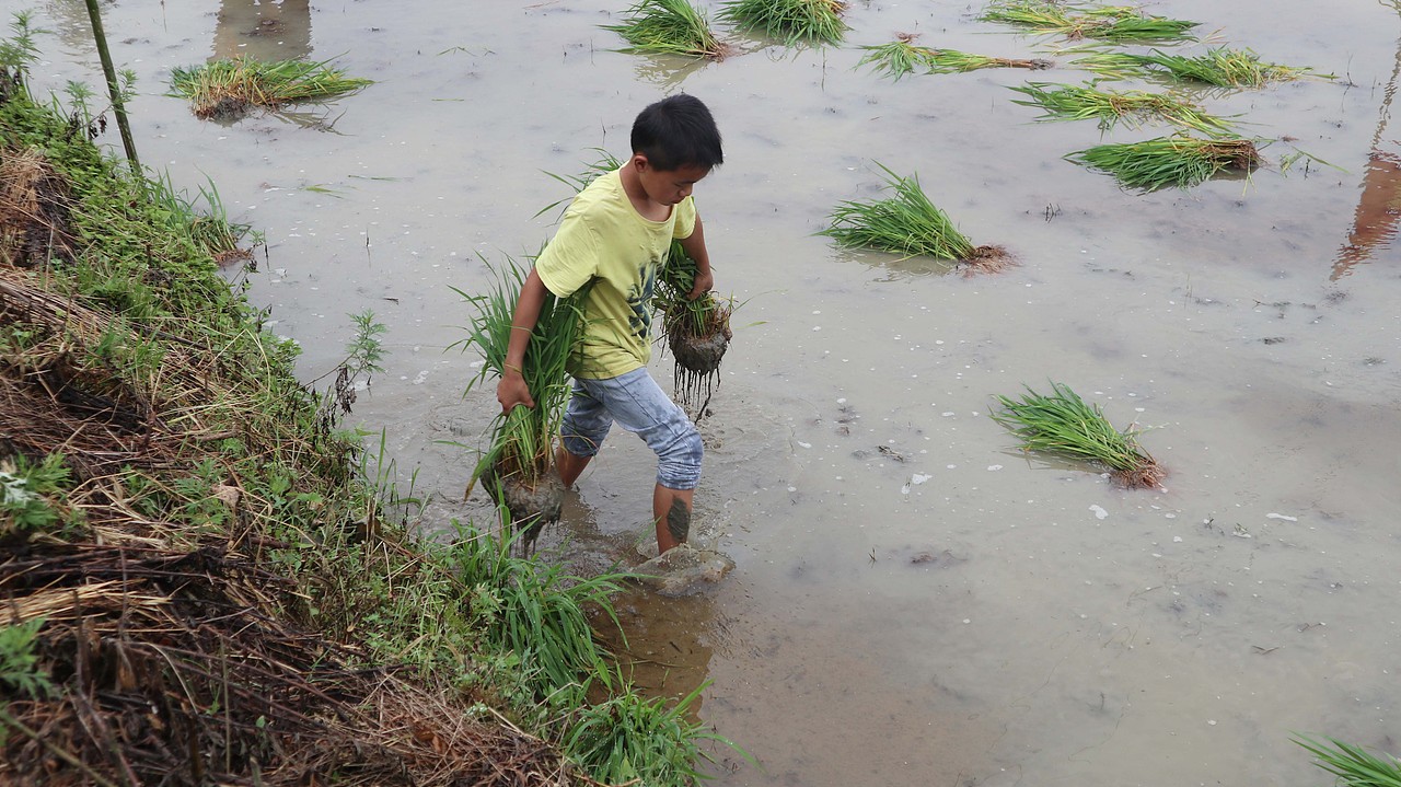 阿味大虾火锅连锁品牌素材图 - 素材网