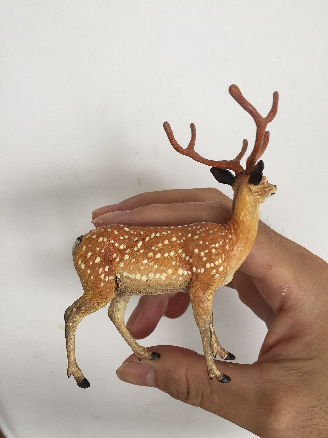 最近完成的一只梅花鹿