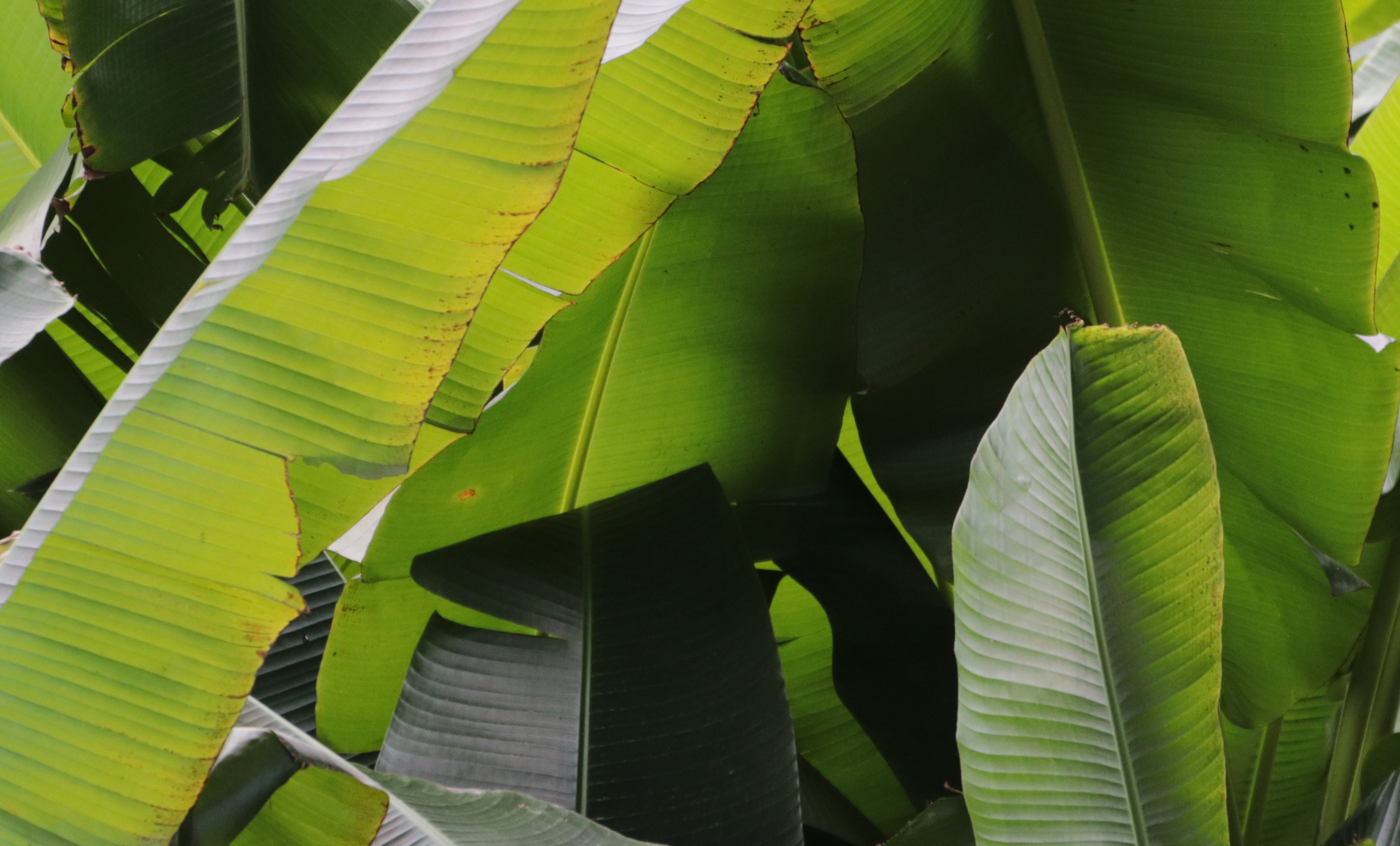 BruceJerry的个人主页（封面预览） - 主页封面设置 - 站酷设计师BruceJerry原创素材 - 站酷ZCOOL