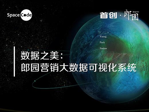 数据之美：郎园营销大数据可视化系统