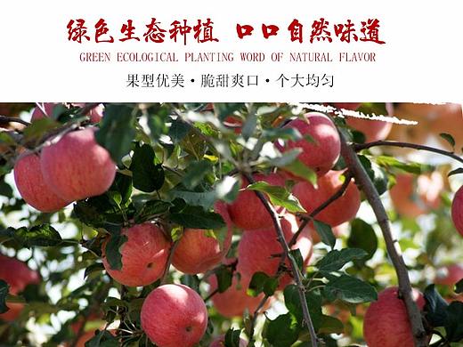 蘋果詳情頁（個(gè)人主頁-ZMjU2NTA0MzY=） - 電商 - 站酷設(shè)計(jì)師沒圖了原創(chuàng)素材 - 站酷ZCOOL