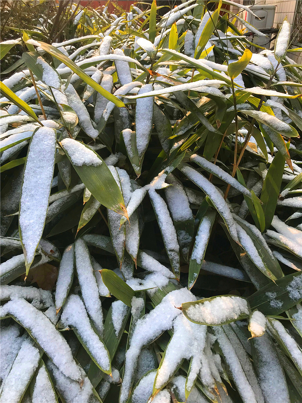刘勇良纪实摄影:雪竹