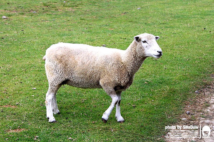 Australia&New Zealand4（图ZMjMxMjk1Mg==） - 风光摄影 - 站酷设计师shadowcby原创素材 - 站酷ZCOOL