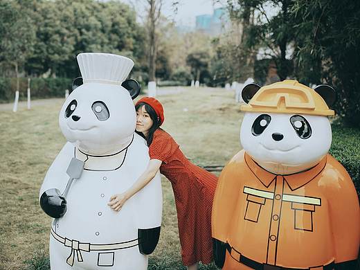 听风的话