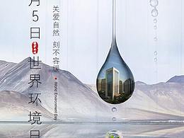 环境日
