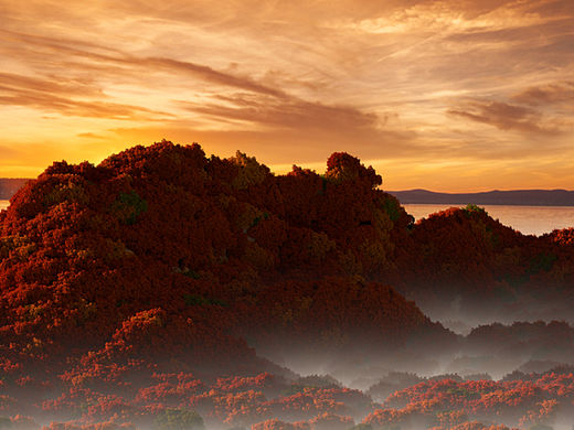 每日练习07（个人主页-ZNjM2MDg3MzI=） - 场景 - 站酷设计师KylinVan原创素材 - 站酷ZCOOL