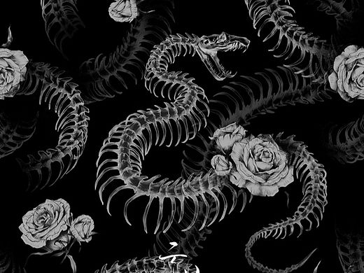 蛇與玫瑰（個人主頁-ZNjYwMjYzODA=） - 創(chuàng)作習(xí)作 - 站酷設(shè)計師見鬼不見人原創(chuàng)素材 - 站酷ZCOOL