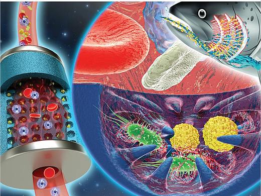 sci杂志封面配图设计中科幻彩科研绘图医学插画动画