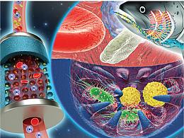 sci杂志封面配图设计中科幻彩科研绘图医学插画动画