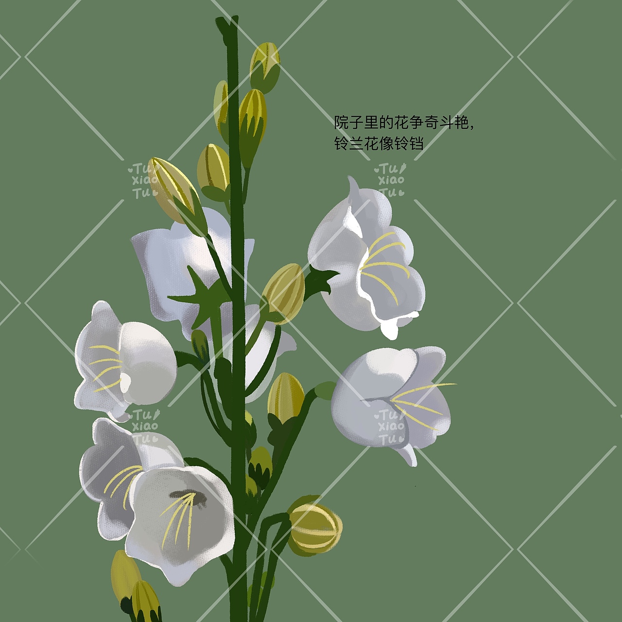 绘本《奶奶的花园》（图ZMzQwNjI1Mzk2） - 绘本 - 站酷设计师兔小兔FEI原创素材 - 站酷ZCOOL