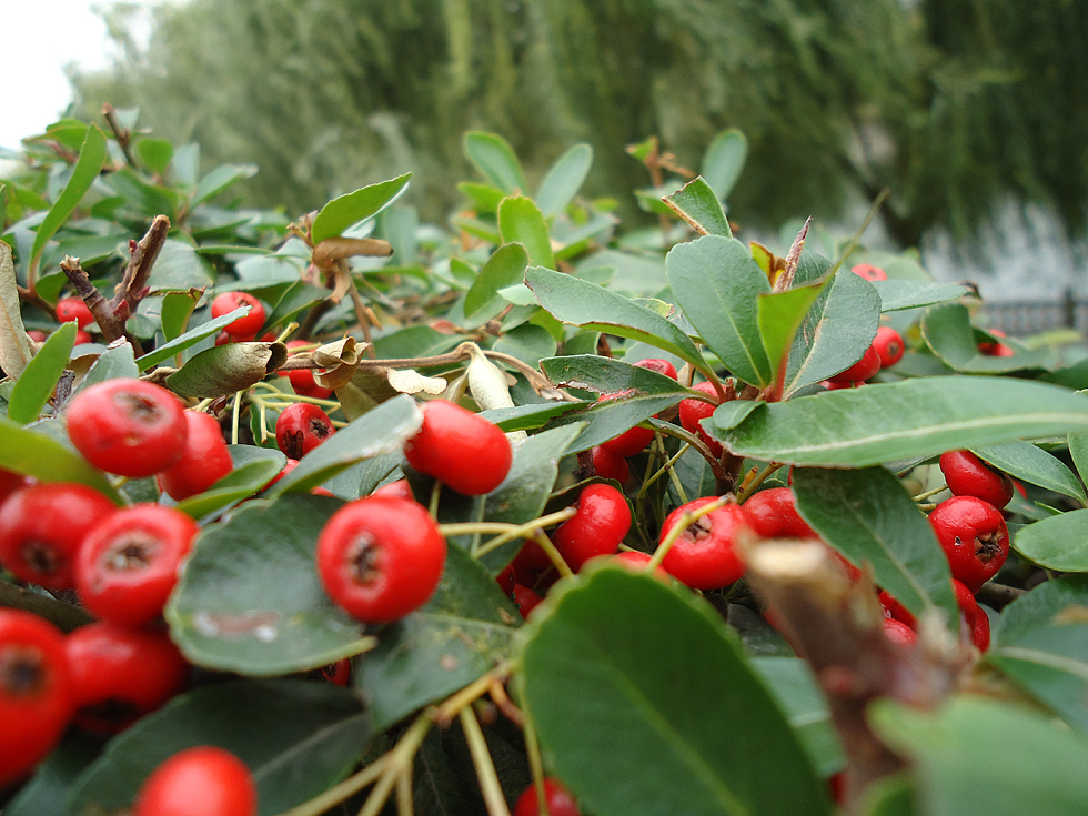 艺术源于生活（图ZMTcxNjk4OTI=） - 风光摄影 - 站酷设计师鸽子02024原创素材 - 站酷ZCOOL