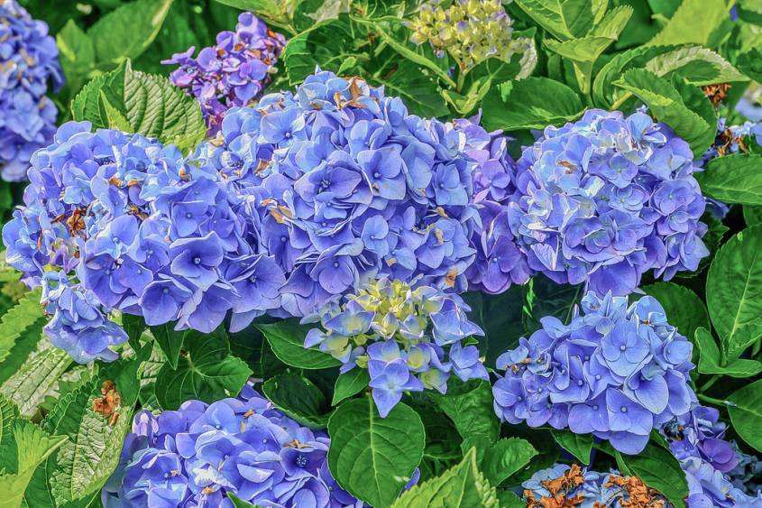 陀飞轮timefly的个人主页（背景预览） - 主页背景设置 - 站酷设计师陀飞轮timefly原创素材 - 站酷ZCOOL