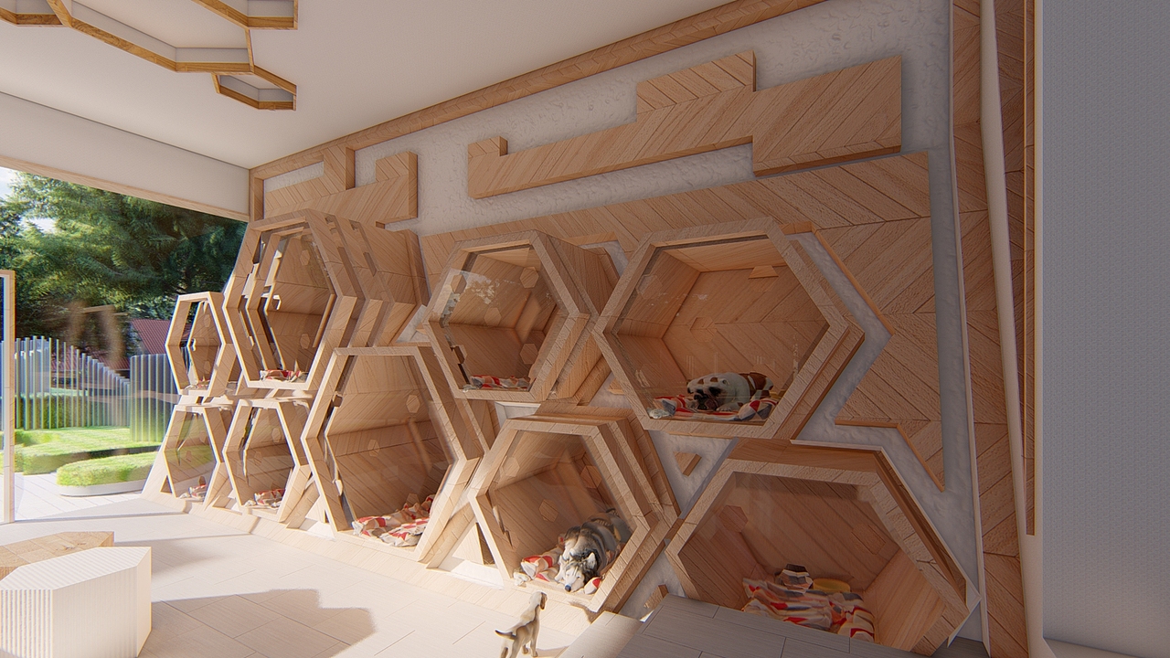 宠物店|空间|建筑设计|wenbusheng_原创作品-站酷zcool