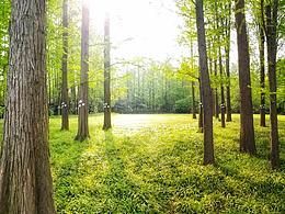 手機攝影 | 三星S8