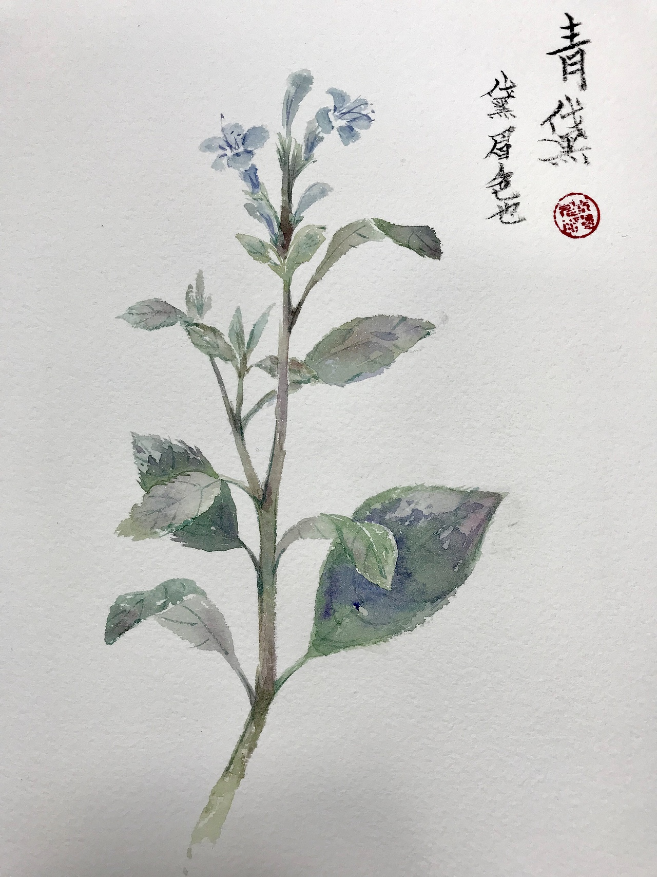 一组水彩画毕业设计（图ZMTc1MzQ3NTA4） - 创作习作 - 站酷设计师闻啼鸟原创素材 - 站酷ZCOOL