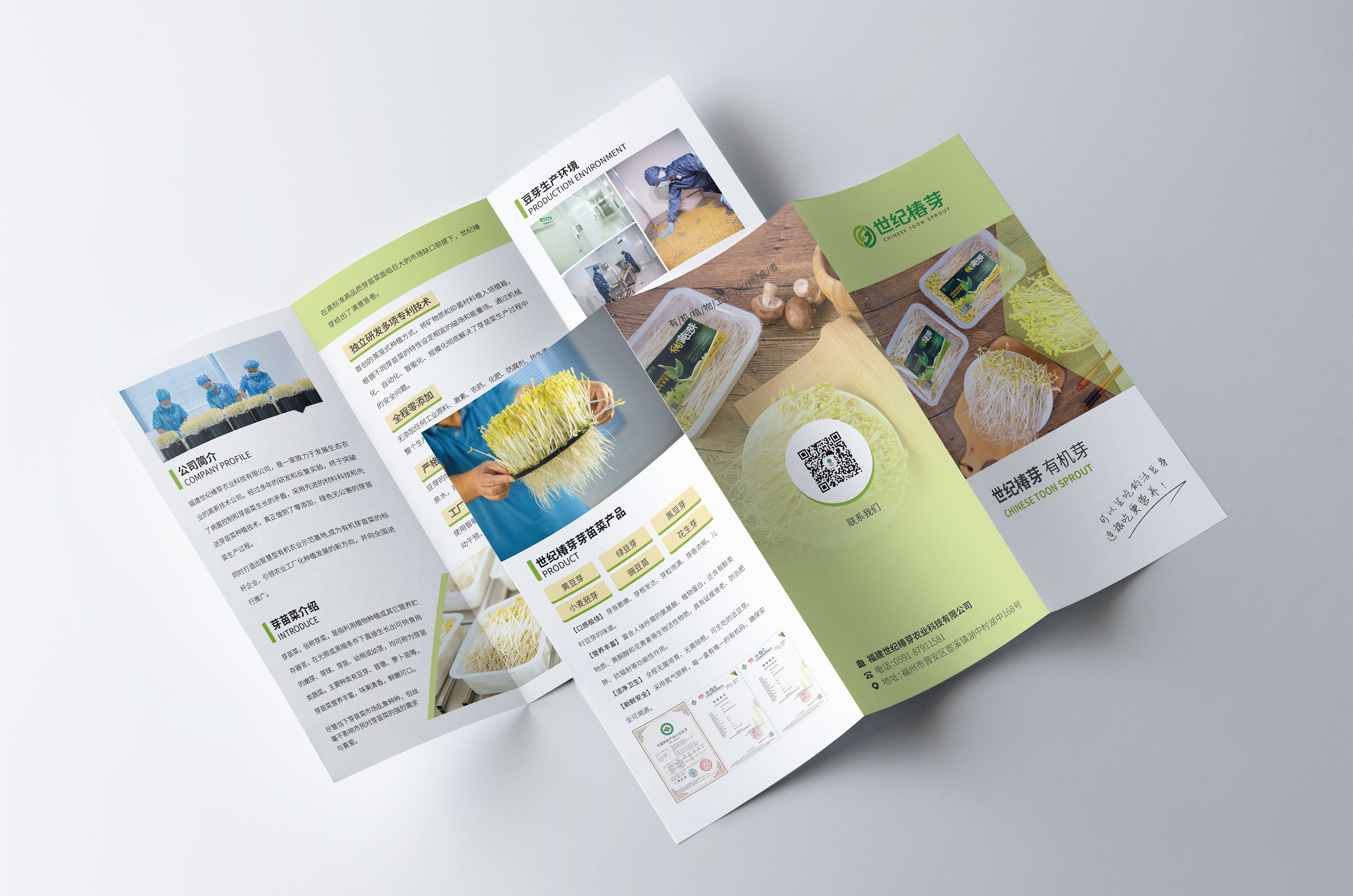 线下印刷物料设计