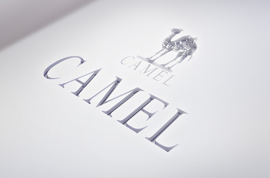 【camel品牌】- 店铺品牌介绍页面（图ZMjY5NzE3OTI=） - 电商 - 站酷设计师土耳其冰淇淋原创素材 - 站酷ZCOOL