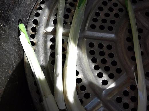 日签（个人主页-ZMjUyNTg1MTY=） - 其他平面 - 站酷设计师小寒小寒原创素材 - 站酷ZCOOL