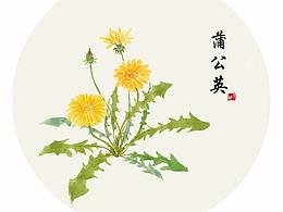 二十四节气素材