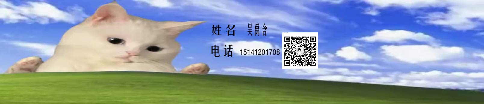 吳禹含的個人主頁（封面預(yù)覽） - 主頁封面設(shè)置 - 站酷設(shè)計師吳禹含原創(chuàng)素材 - 站酷ZCOOL