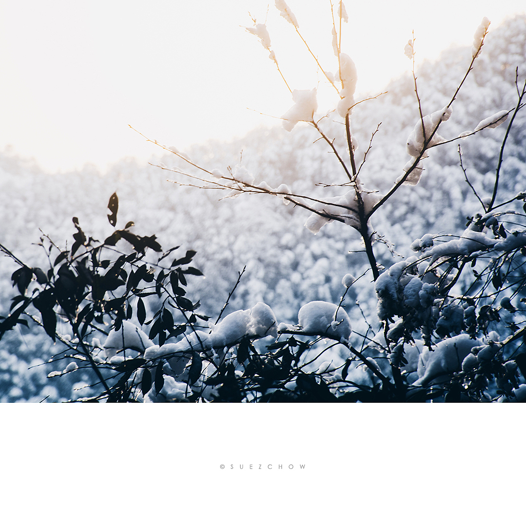 这样的小雪太安静。