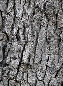 Joker2000的個人主頁（背景預(yù)覽） - 主頁背景設(shè)置 - 站酷設(shè)計師Joker2000原創(chuàng)素材 - 站酷ZCOOL